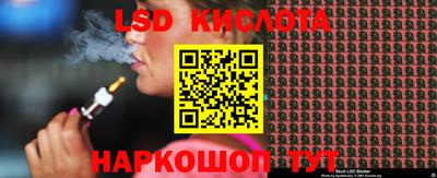 шишки Сланцы