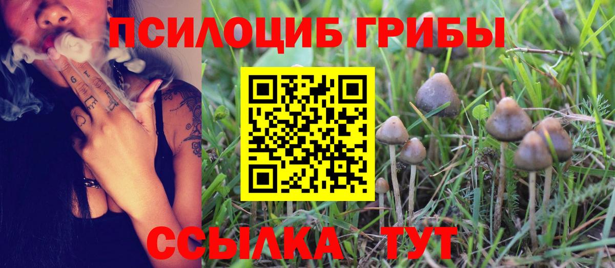 Галлюциногенные грибы ЛСД  Галлюциногенные грибы Psilocybe  Бор  Вход с VPN 
